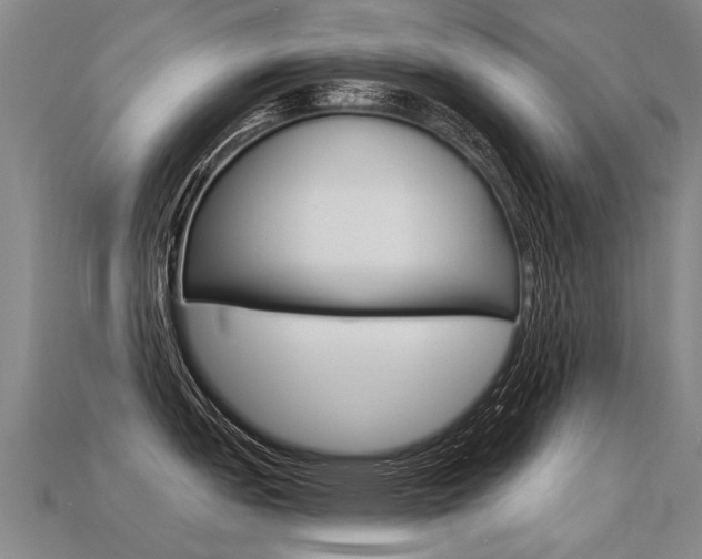 X0000113551151200909180954
