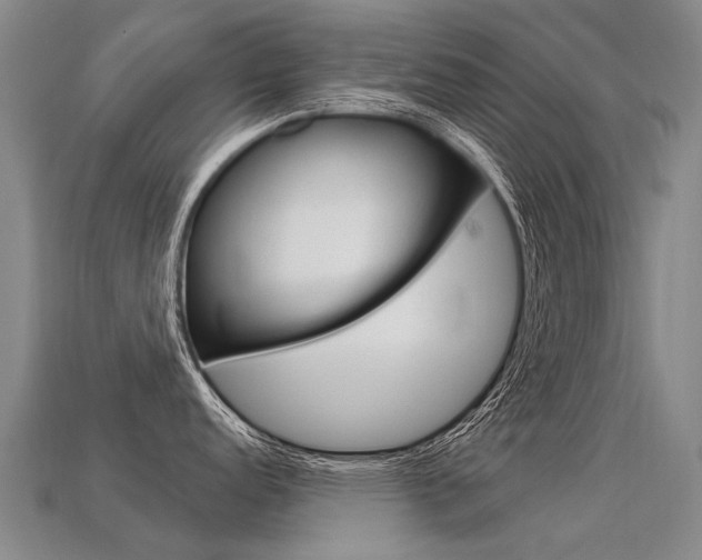 X0000113551152200909180954