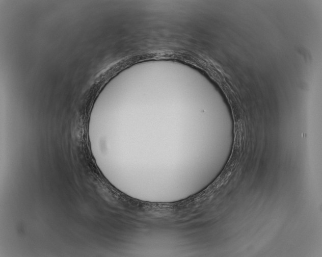 X0000113551158200909180953
