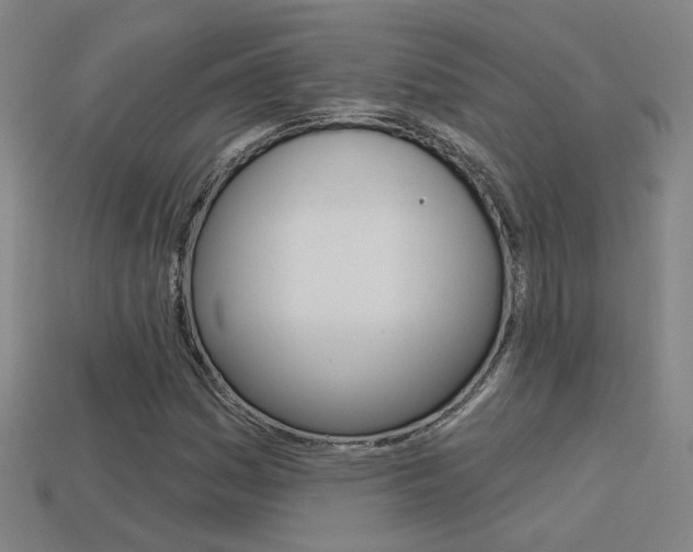 X0000113551161200909180953