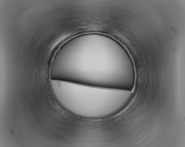 X0000113551163200909180953