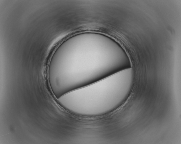 X0000113551164200909180953