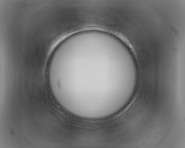 X0000113551167200909180953