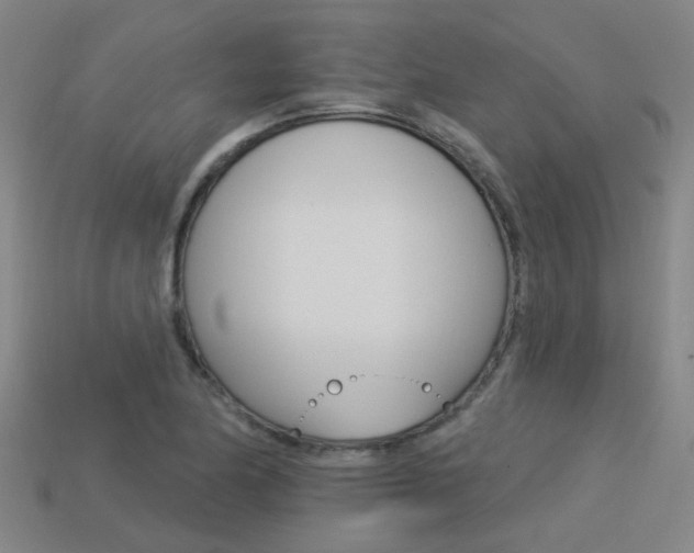 X0000113551174200909180953