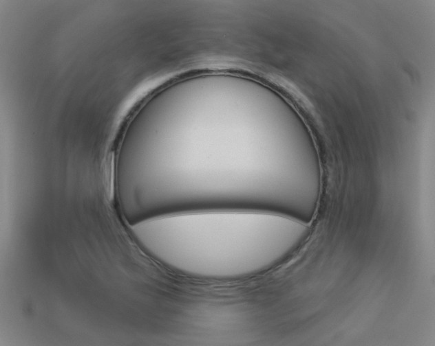 X0000113551175200909180953