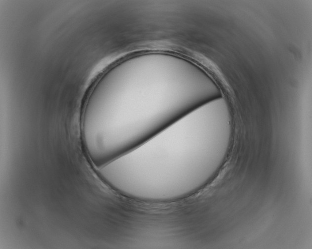 X0000113551176200909180953