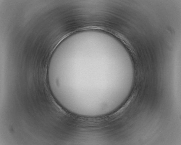 X0000113551177200909180953