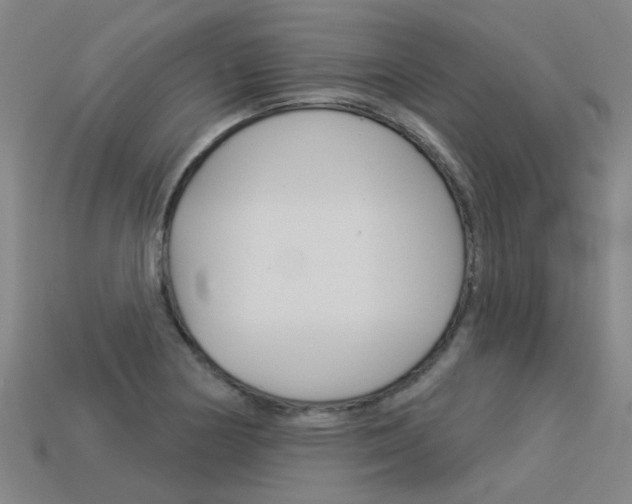 X0000113551178200909180953