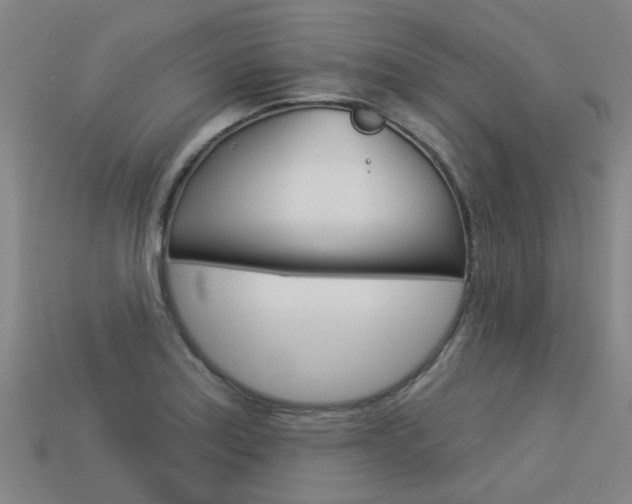X0000113551179200909180953