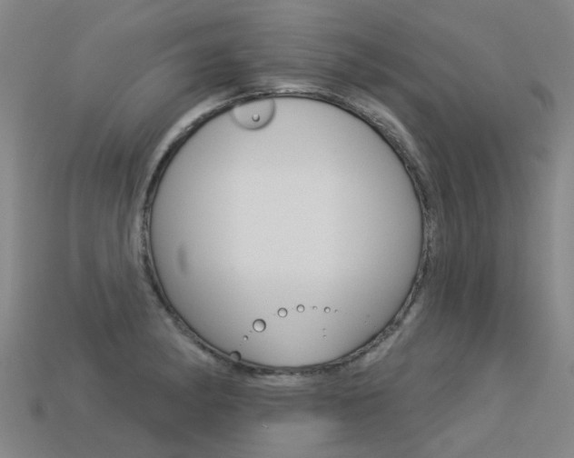 X0000113551182200909180953