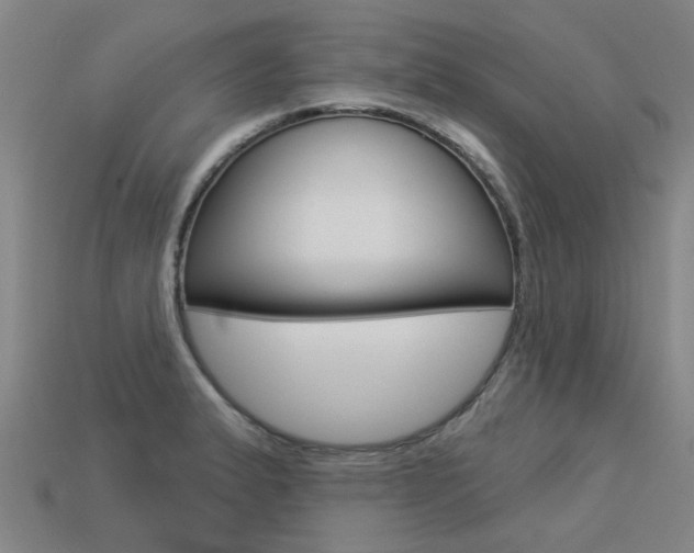 X0000113551183200909180953