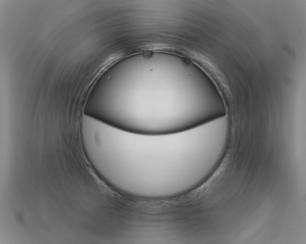 X0000113551185200909180953