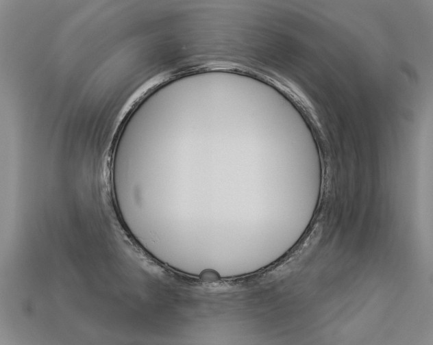 X0000113551190200909180953