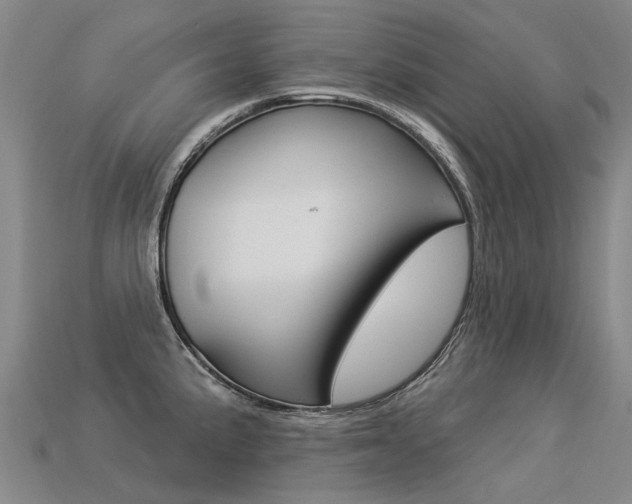 X0000113551191200909180953
