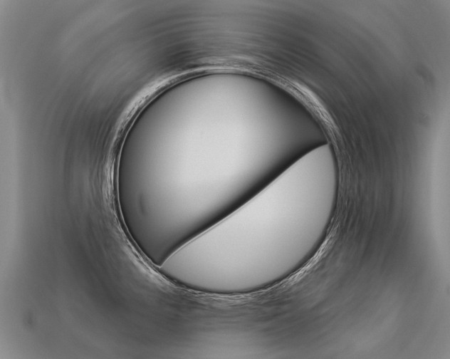 X0000113551196200909180953