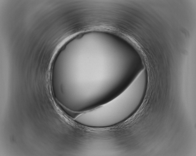 X0000113551200200909180953