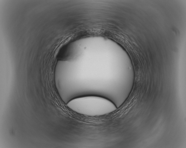 X0000113551201200909180952