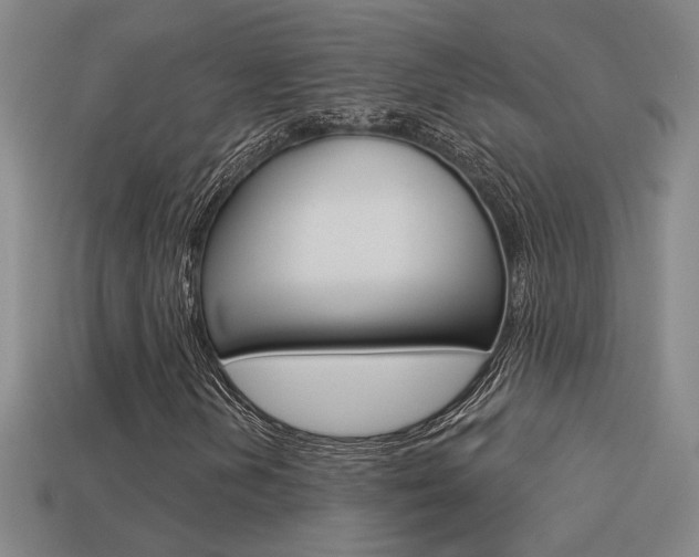 X0000113551202200909180952