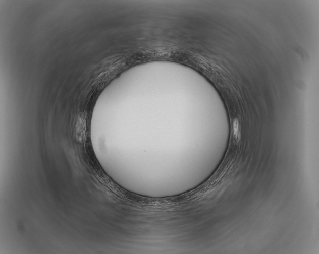 X0000113551203200909180952