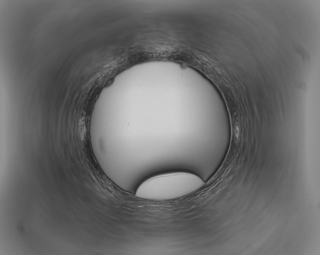 X0000113551204200909180952