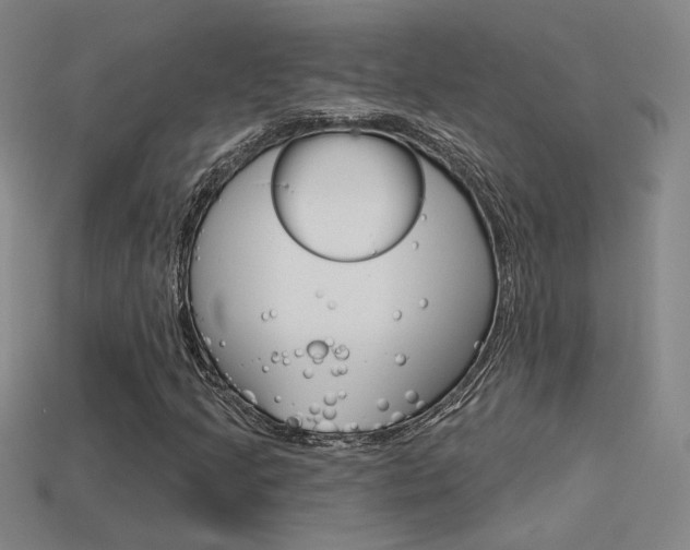 X0000113551205200909180952