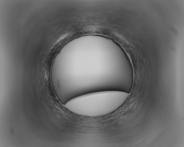 X0000113551206200909180952
