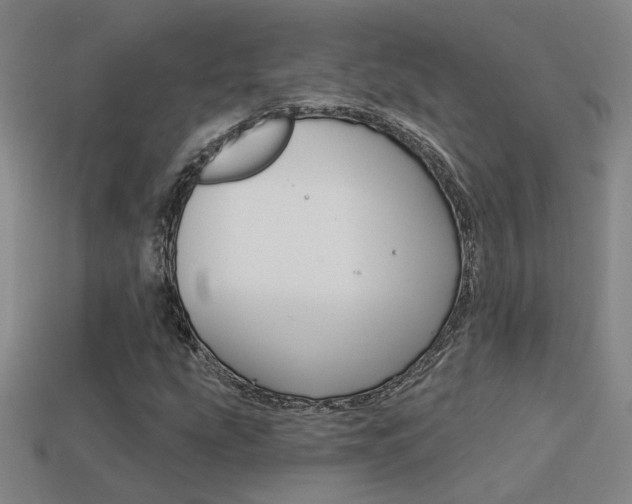 X0000113551207200909180952