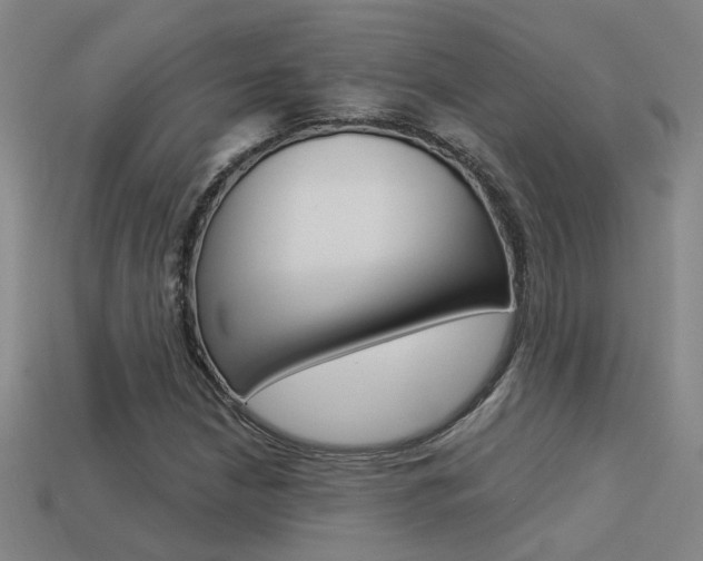 X0000113551210200909180952