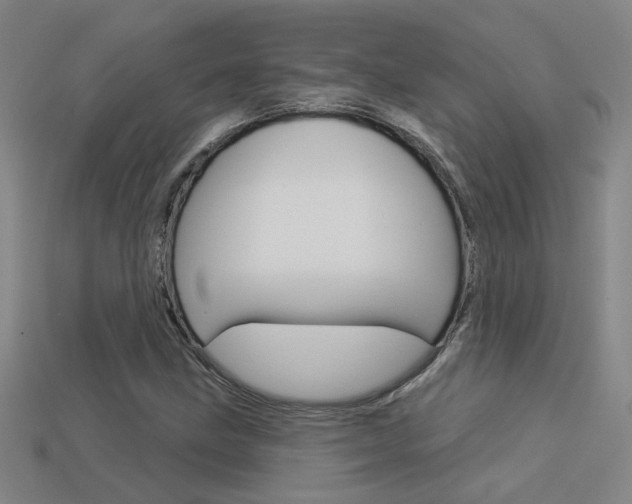 X0000113551211200909180952