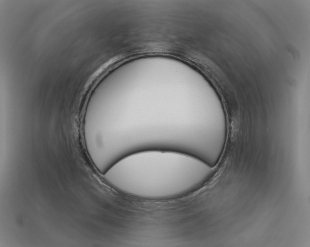 X0000113551212200909180952