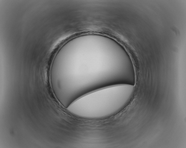 X0000113551214200909180952