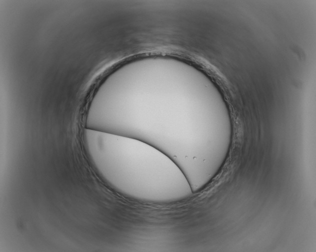 X0000113551215200909180952