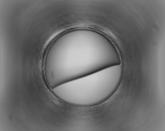 X0000113551216200909180952