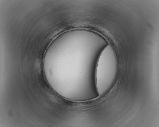 X0000113551217200909180952