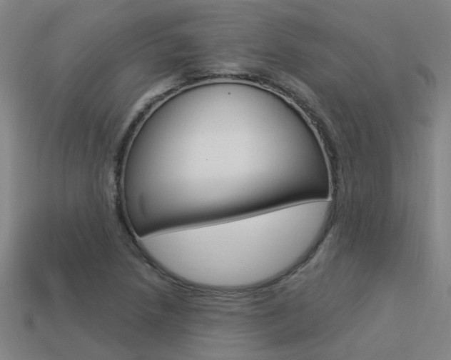 X0000113551218200909180952