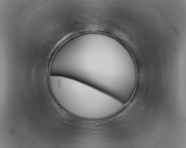 X0000113551220200909180952