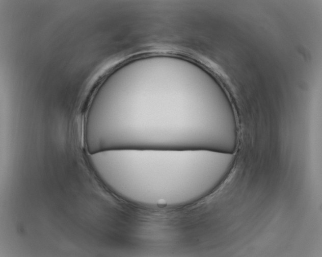X0000113551223200909180952