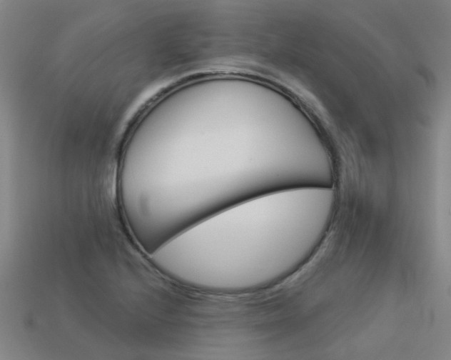 X0000113551224200909180952