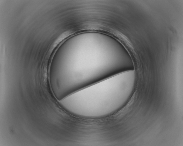 X0000113551226200909180952