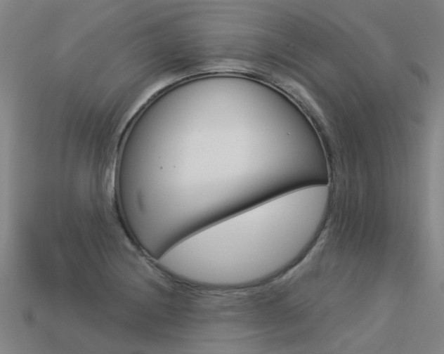 X0000113551228200909180952