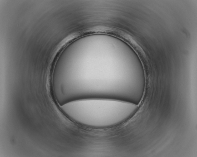 X0000113551229200909180952