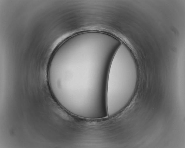 X0000113551230200909180952