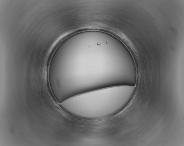 X0000113551232200909180952