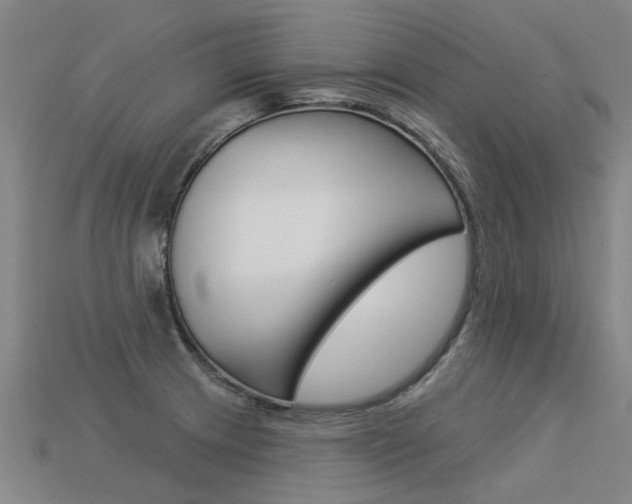 X0000113551233200909180952