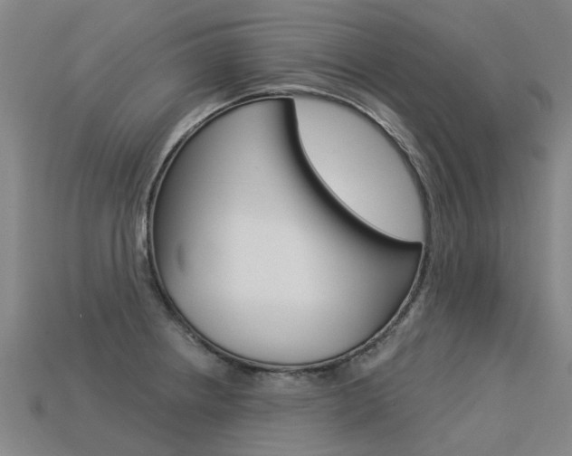 X0000113551234200909180952