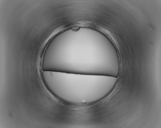 X0000113551235200909180952