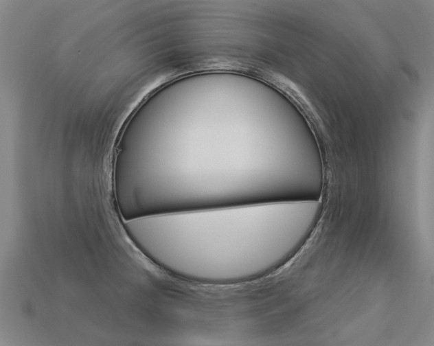 X0000113551236200909180952