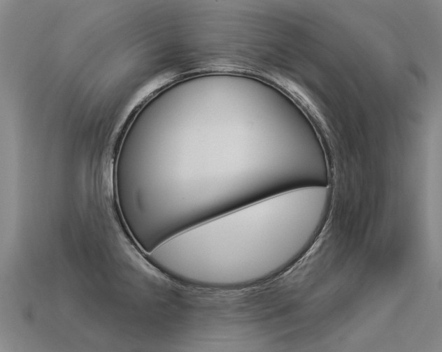 X0000113551238200909180953