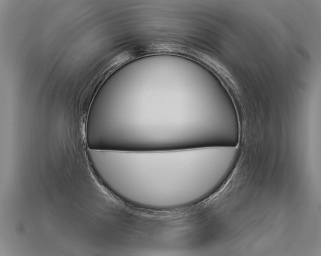 X0000113551241200909180953