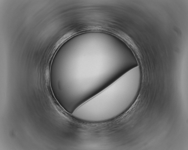 X0000113551242200909180953